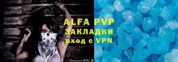 прущие грибы Березники