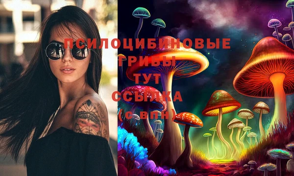 прущие грибы Березники