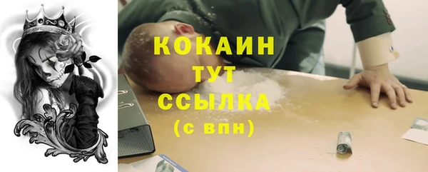 прущие грибы Березники