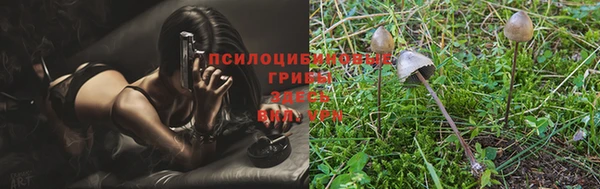 мескалин Белая Холуница
