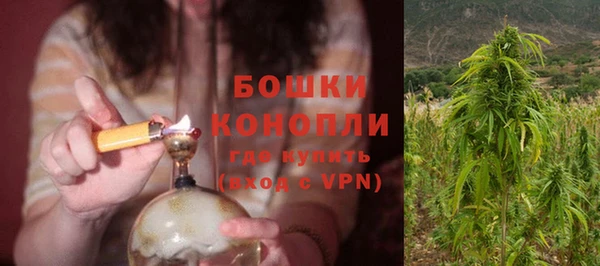 прущие грибы Березники