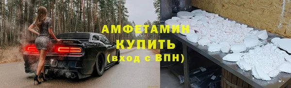 шишки Аша