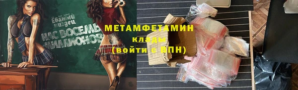прущие грибы Березники