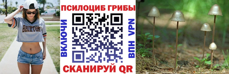 Галлюциногенные грибы GOLDEN TEACHER  Березники 