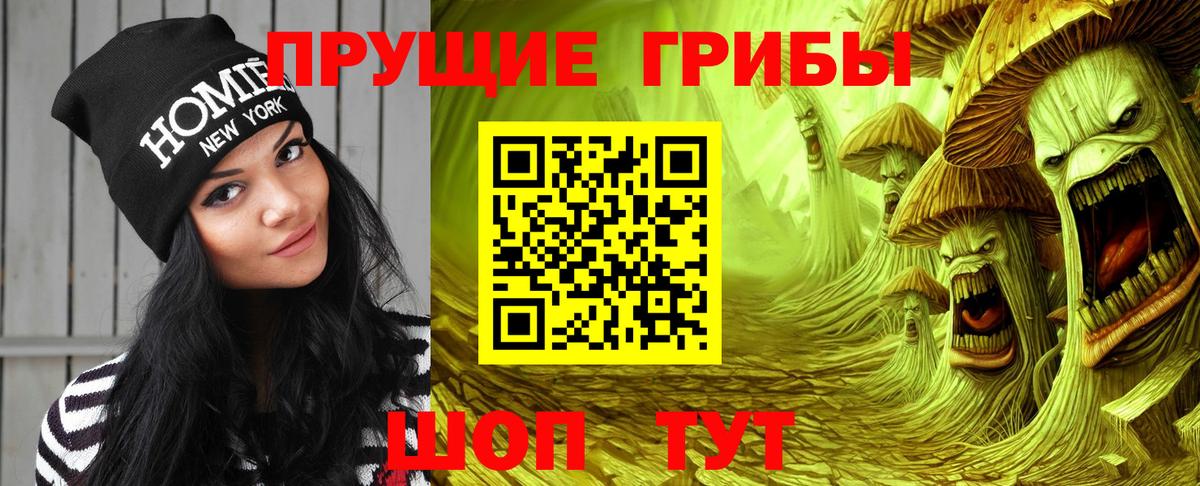 Псилоцибиновые грибы MAGIC MUSHROOMS  Вход с VPN  Березники  Псилоцибиновые грибы прущие грибы 