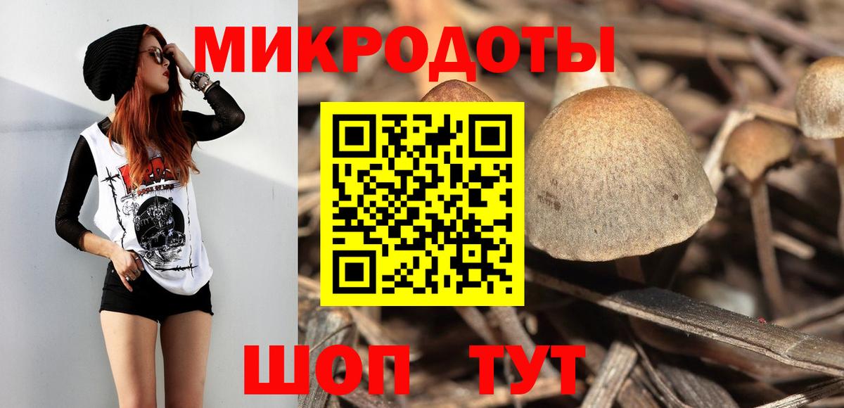 Галлюциногенные грибы прущие грибы Березники