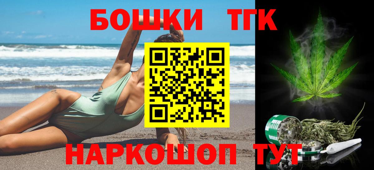 Марихуана план  Березники  Конопля сатива 